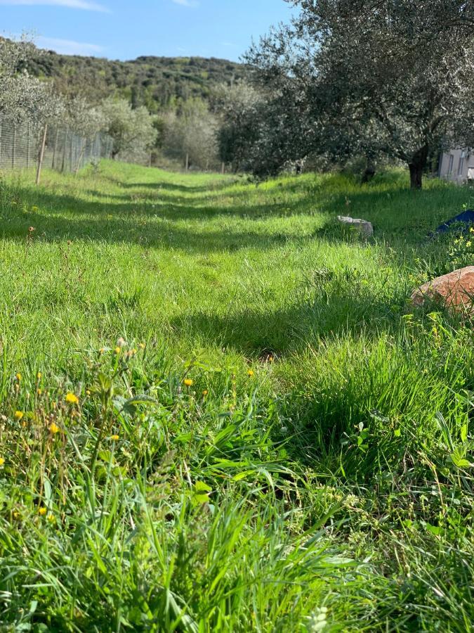 Il Giardino Degli Ulivi Hotel Rovinj Buitenkant foto