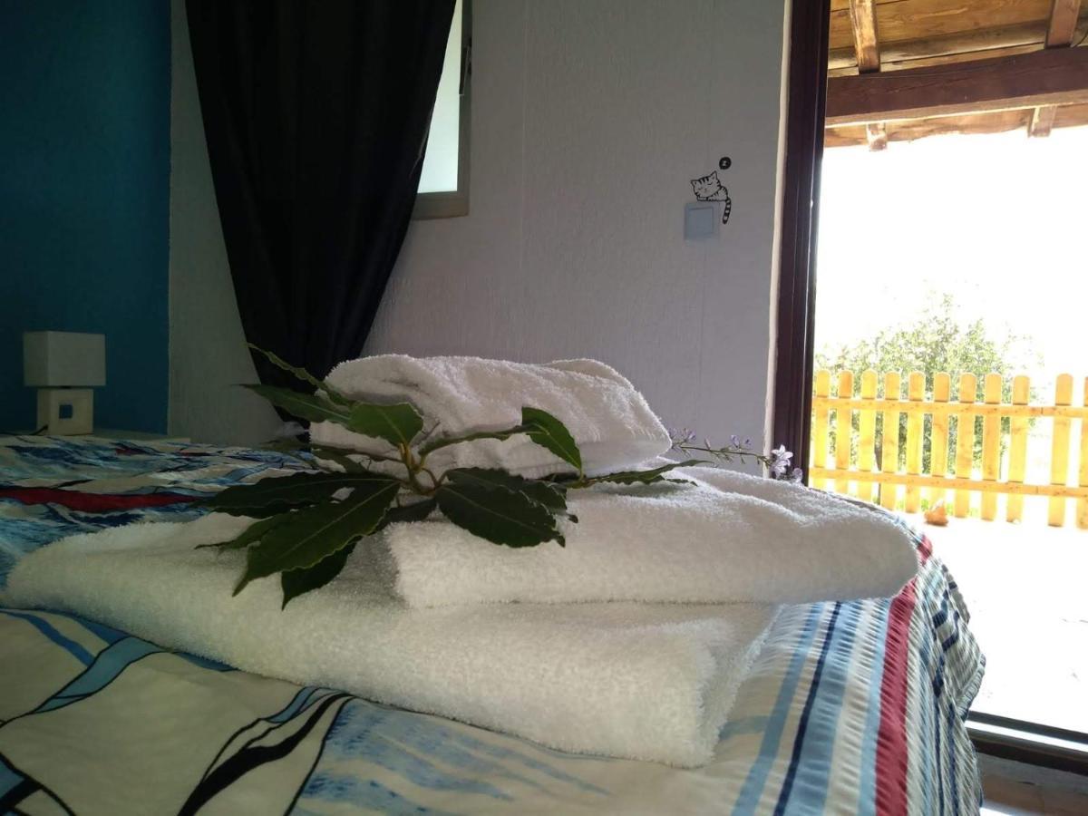 Il Giardino Degli Ulivi Hotel Rovinj Buitenkant foto