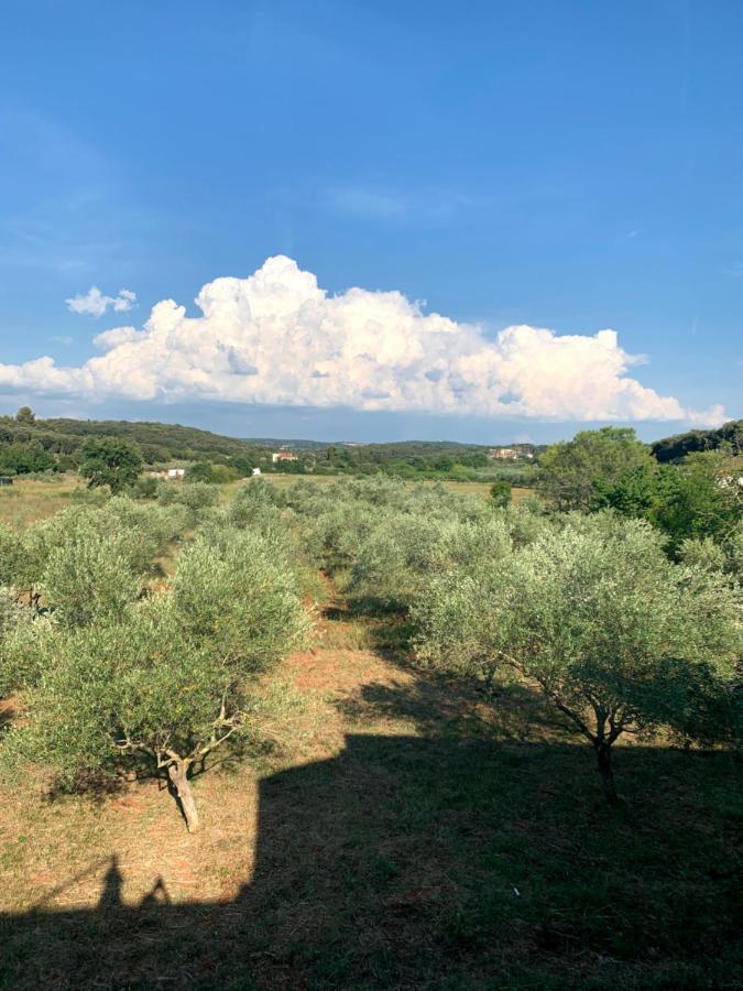 Il Giardino Degli Ulivi Hotel Rovinj Buitenkant foto